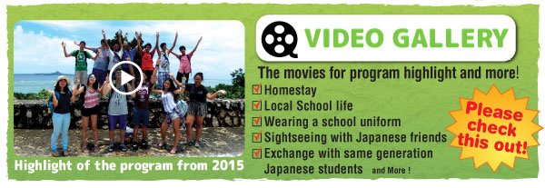 The Okinawa Youth Exchange Program