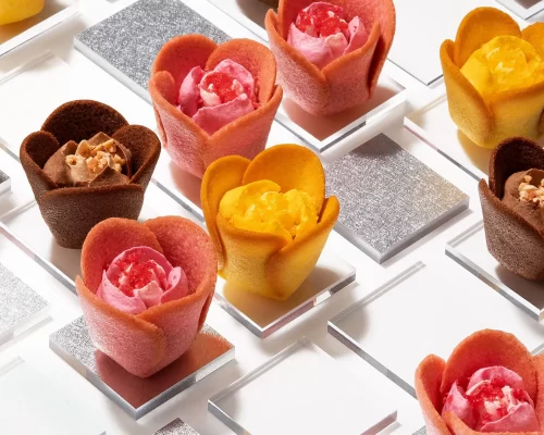 © 2019 GRAPESTONE CO.,Ltd_